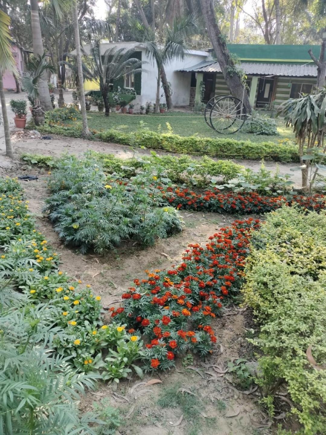 Lucky Beach Resorts , Balasore Chandipur Ngoại thất bức ảnh